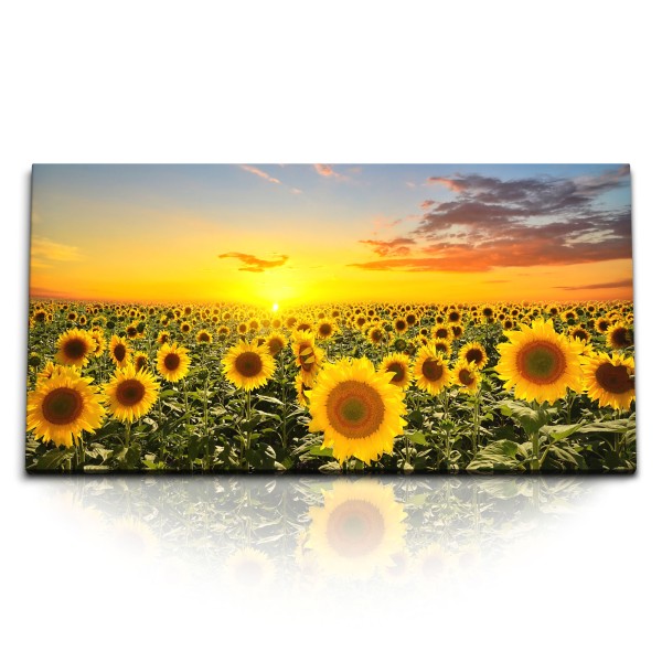 Paul Sinus Art Kunstdruck Bilder 120x60cm Sonnenblumenfeld Sonnenblumen Gelb Sonnenuntergang