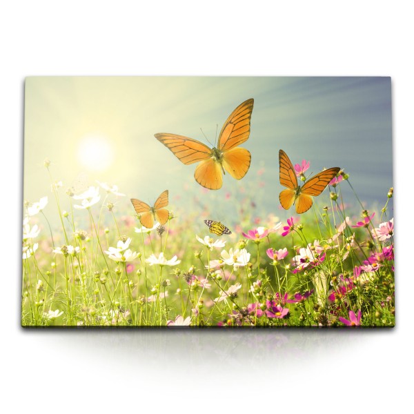 Paul Sinus Art 120x80cm Wandbild auf Leinwand Sommerwiese Blumenwiese Schmetterlinge Sonnenschein