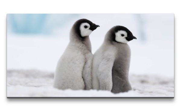 Paul Sinus Art Leinwandbild 120x60cm Kleine Pinguine Süß Flauschig Lustig Lieblich Schnee