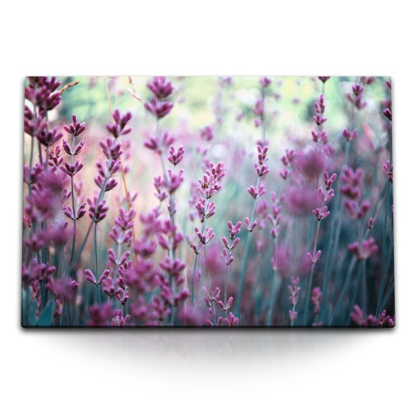 120x80cm Wandbild auf Leinwand Rosa Lavendel Blumen Blüten Lavendelfeld