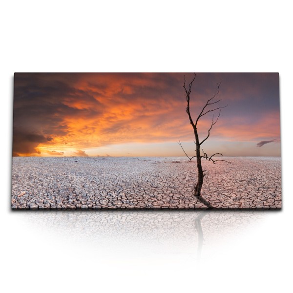 Paul Sinus Art Kunstdruck Bilder 120x60cm Abendrot Baum trockene Landschaft Horizont