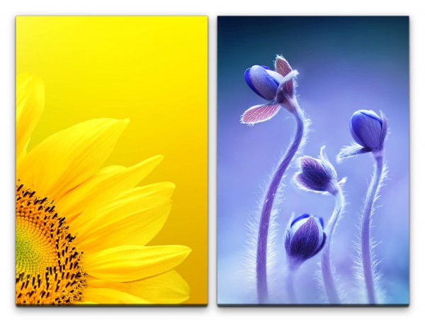 Paul Sinus Art 2 Bilder je 60x90cm Sonnenblume Gelb Blumen Tulpen Sommer Balu Makro