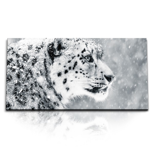 Paul Sinus Art Kunstdruck Bilder 120x60cm Schneeleopard Winter Raubkatze Leopard Tierfotografie