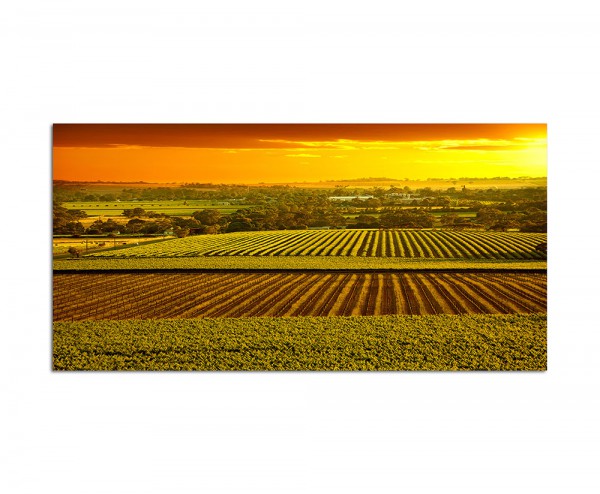 Paul Sinus Art 120x80cm Landwirtschaft Sonnenuntergang Australien