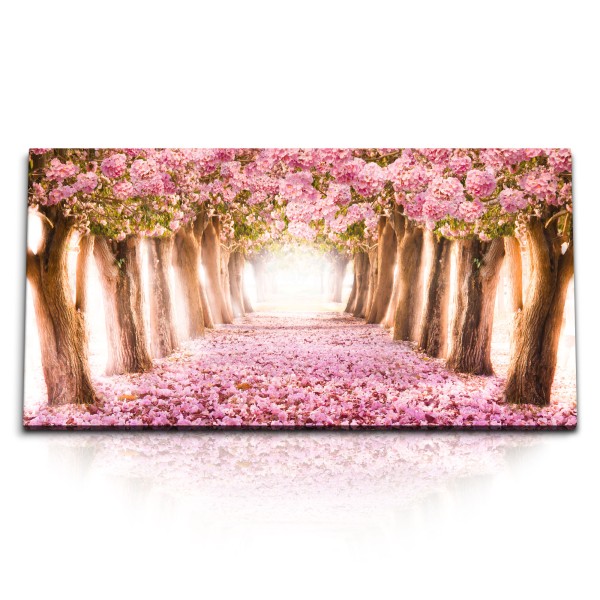 Paul Sinus Art Kunstdruck Bilder 120x60cm Pinke Baumblüten Frühling Park Baumallee Rosa Blüten