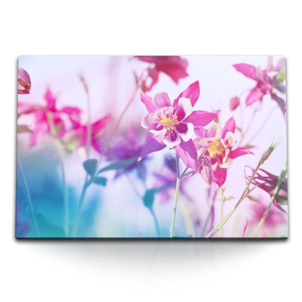 Paul Sinus Art 120x80cm Wandbild auf Leinwand Sommer Blumen Sonnenschein Blüten Lila Rosa