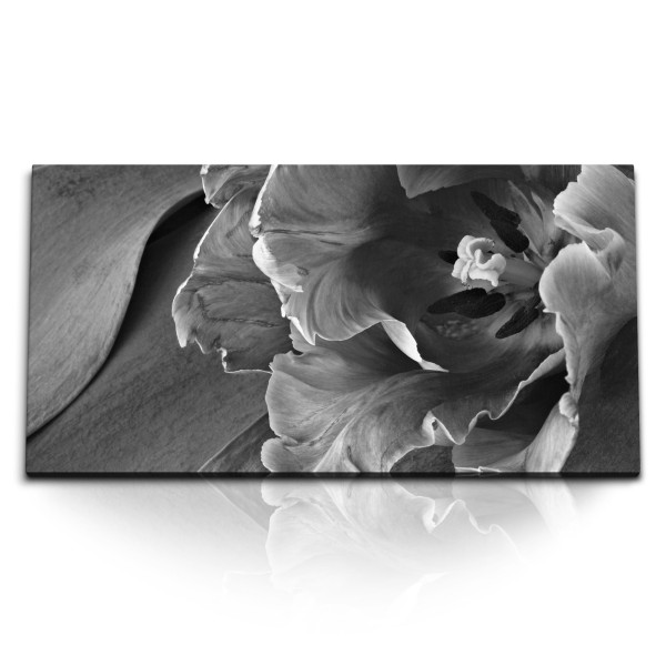 Paul Sinus Art Kunstdruck Bilder 120x60cm Schwarz Weiß Makrofotografie Blume Blüte Kunstvoll