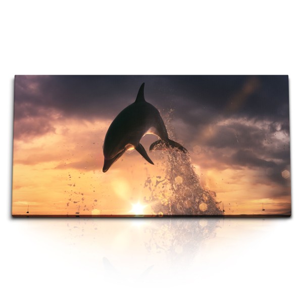 Paul Sinus Art Kunstdruck Bilder 120x60cm Delphin springt aus den Wasser Sonnenuntergang Meer