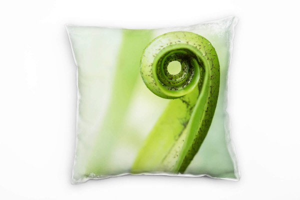 Paul Sinus Art Macro, Natur, eingerolltes Blatt, grün Deko Kissen 40x40cm für Couch Sofa Lounge Zierkissen