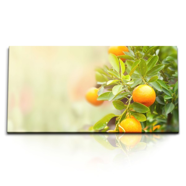 Paul Sinus Art Kunstdruck Bilder 120x60cm Orangenbaum Orangen Sommer Grün Natur