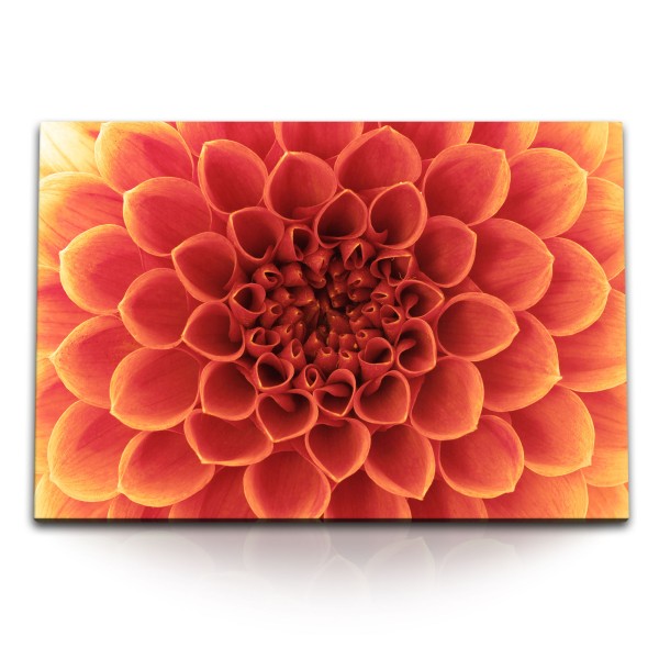 Paul Sinus Art 120x80cm Wandbild auf Leinwand Dahlie Blume Blüte Nahaufnahme Rot