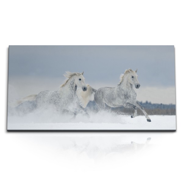 Paul Sinus Art Kunstdruck Bilder 120x60cm Weiße Pferde Wild Schnee Winter Tierfotografie