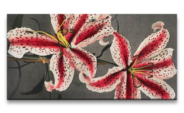 Paul Sinus Art Remaster 120x60cm Ogawa Kazumasa berühmte Fotografie Blume Blüte Lilien Wunderschön