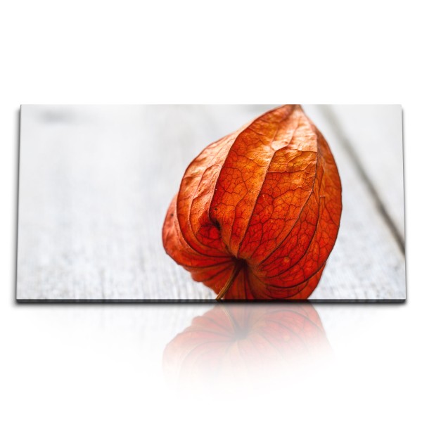 Paul Sinus Art Kunstdruck Bilder 120x60cm Physalis Frucht Fotokunst Nahaufnahme Rot