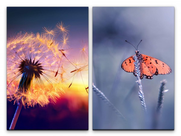 Paul Sinus Art 2 Bilder je 60x90cm Pusteblume Schmetterling Sommer Wärme Sanft Fotokunst Makrofotografie