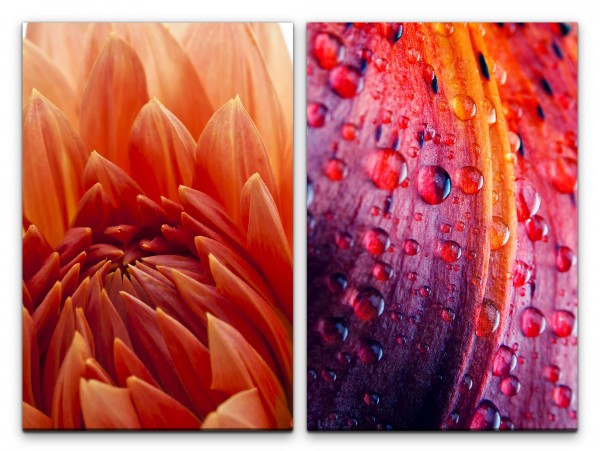 Paul Sinus Art 2 Bilder je 60x90cm Dahlie rote Blume Regentropfen Blüten Erfrischend Leidenschaft Makrofotografie