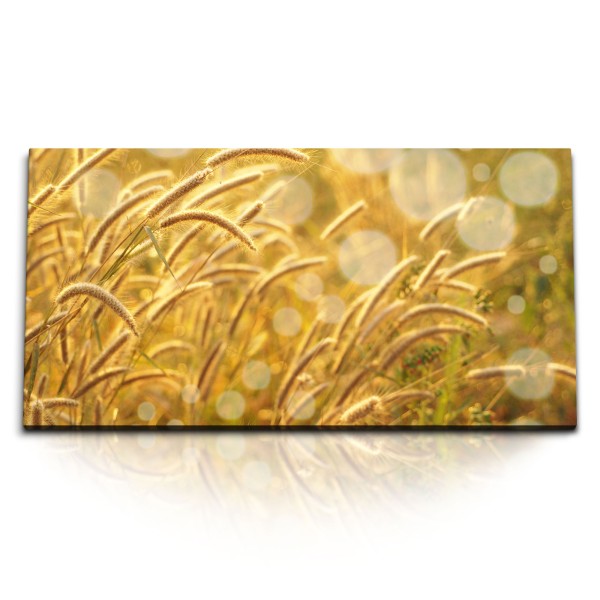 Paul Sinus Art Kunstdruck Bilder 120x60cm Sommer Halme Weizen Natur Wiese