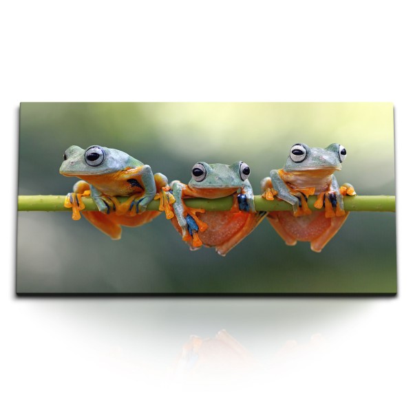 Paul Sinus Art Kunstdruck Bilder 120x60cm Drei kleine Frösche Exotisch Tierfotografie Grün