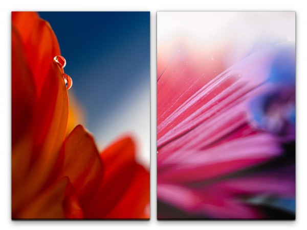 Paul Sinus Art 2 Bilder je 60x90cm Blumen rote Blüte Wassertropfen Dekorativ Stilvoll Fotokunst Makrofotografie