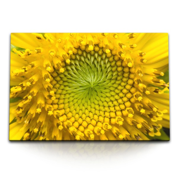 Paul Sinus Art 120x80cm Wandbild auf Leinwand Sonnenblume Gelb Blume Sommer Nahaufnahme