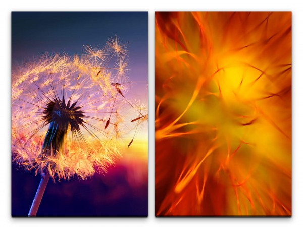 Paul Sinus Art 2 Bilder je 60x90cm Pusteblume Makro Orange Sommer Feeling Abendröte Blume