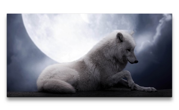 Paul Sinus Art Leinwandbild 120x60cm Weißer Wolf Vollmond Mystisch Geheimnisvoll Nacht