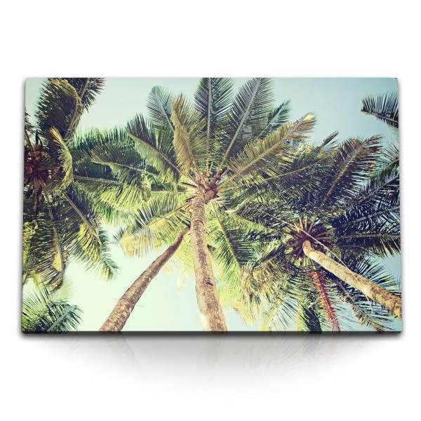 Paul Sinus Art 120x80cm Wandbild auf Leinwand Palmen Palmblätter Sonnenschein Sommer Süden