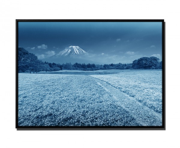 Paul Sinus Art 105x75cm Leinwandbild Petrol Berg Fuji Shibazakura Festival Yamanashi Japan