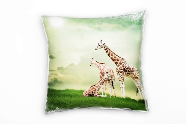 Paul Sinus Art Tiere, grün, braun, Giraffen, Wiese, Fantasie Deko Kissen 40x40cm für Couch Sofa Lounge Zierkissen