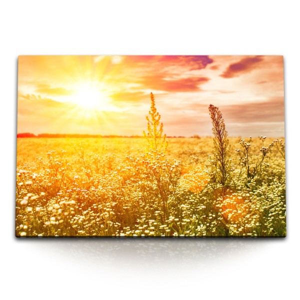 Paul Sinus Art 120x80cm Wandbild auf Leinwand Sommerfeld Sonne Sonnenuntergang Feld Natur Landschaft