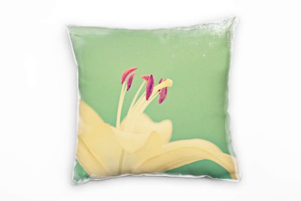 Paul Sinus Art Blumen, grün, gelb, Lilie, Nahaufnahme Deko Kissen 40x40cm für Couch Sofa Lounge Zierkissen