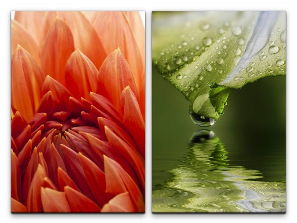 Paul Sinus Art 2 Bilder je 60x90cm Dahlie roter Blume Sommer Bach Wasser Reflexion Entspannend