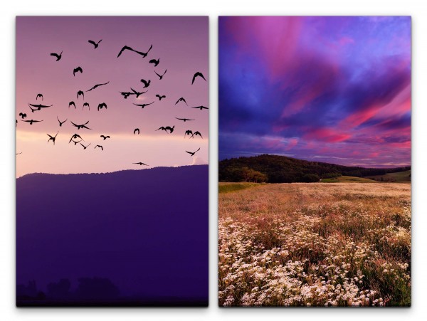 Paul Sinus Art 2 Bilder je 60x90cm Vogelschwarm fliegende Vögel Berge Sommerwiese rosa Wolken Abenddämmerung Sonne