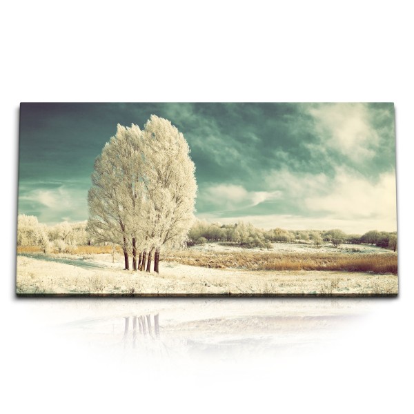 Paul Sinus Art Kunstdruck Bilder 120x60cm Winterlandschaft Winter Schnee Bäume Natur