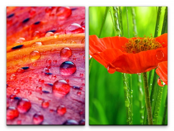 Paul Sinus Art 2 Bilder je 60x90cm Blumen rote Blüten Wasserperlen Morgentau Sommer Erfrischend Makrofotografie