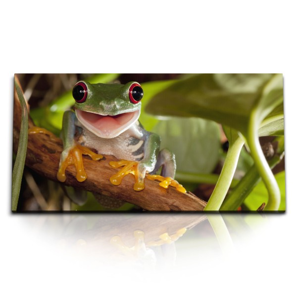 Paul Sinus Art Kunstdruck Bilder 120x60cm Kleiner Frosch im Dschungel Tropisch Exotisch