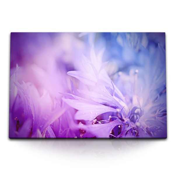 Paul Sinus Art 120x80cm Wandbild auf Leinwand Blumen Blüten Fotokunst Violett Regentropfen Kunstvoll