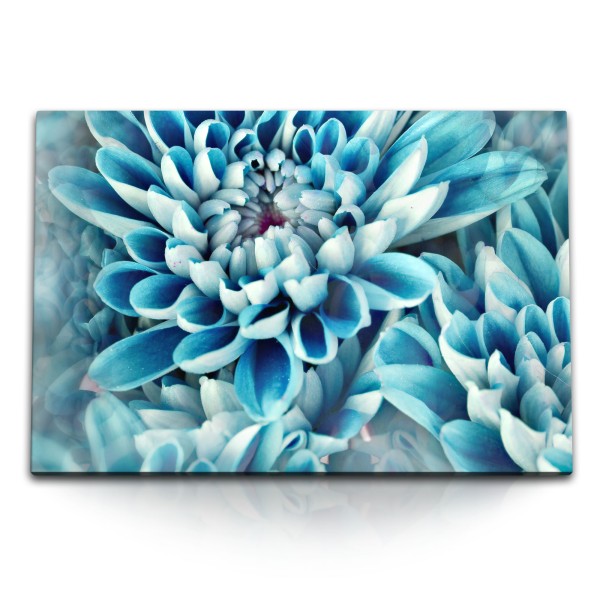 Paul Sinus Art 120x80cm Wandbild auf Leinwand Blaue Blume Blüte Fotokunst Hellblau Nahaufnahme