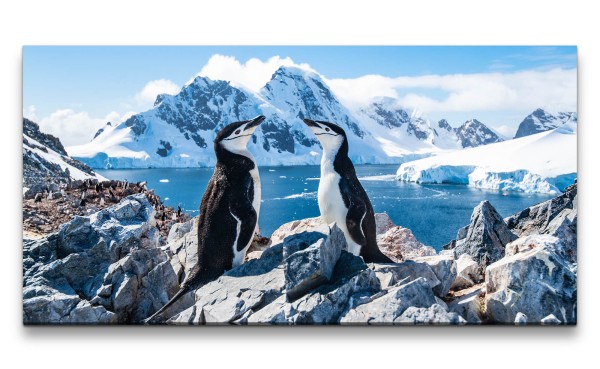 Paul Sinus Art Leinwandbild 120x60cm Pinguine Berge Schnee Natur Meer Naturfotografie