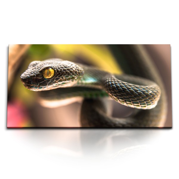 Paul Sinus Art Kunstdruck Bilder 120x60cm Kleine Schlange Grün Tierfotografie Reptil Exotisch