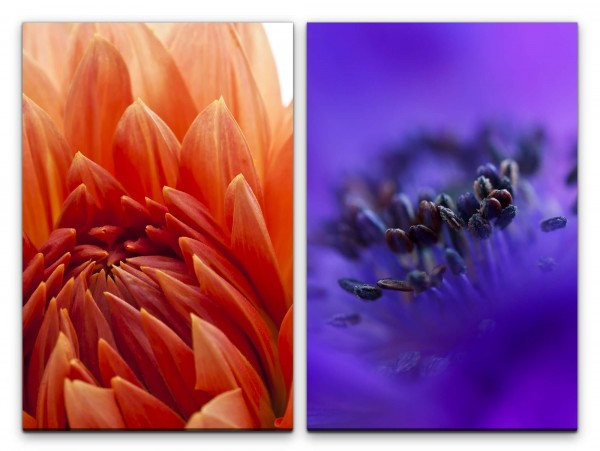 Paul Sinus Art 2 Bilder je 60x90cm Dahlie rote Blume Blaue Blüte Sommer Wärme Fotokunst Makrofotografie