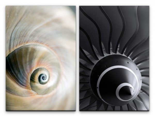 Paul Sinus Art 2 Bilder je 60x90cm Schneckenhaus Turbine Spirale Technik Stimmig Fotokunst Makro