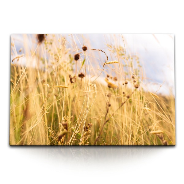 Paul Sinus Art 120x80cm Wandbild auf Leinwand Halme Weizen Feld Sommer Natur Sonnenschein