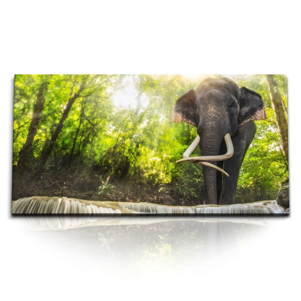 Paul Sinus Art Kunstdruck Bilder 120x60cm Elefant Thailand Wasserfall Grün Natur Dschungel