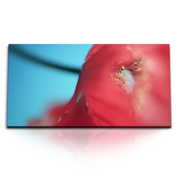 Paul Sinus Art Kunstdruck Bilder 120x60cm Rote Blume Mohn Blüte Rot Makrofotografie