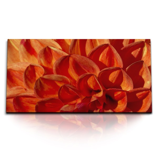 Paul Sinus Art Kunstdruck Bilder 120x60cm Dahlie Blume Blüte Rot Nahaufnahme Sommer