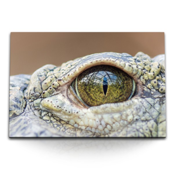 Paul Sinus Art 120x80cm Wandbild auf Leinwand Krokodil Krokodilauge Nahaufnahme Tierfotografie Reptil