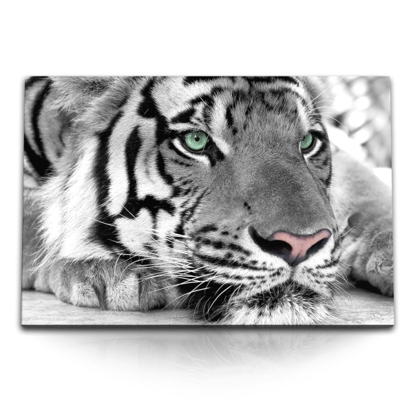 Paul Sinus Art 120x80cm Wandbild auf Leinwand Tierfotografie Tiger Schwarz Weiß Raubkatze