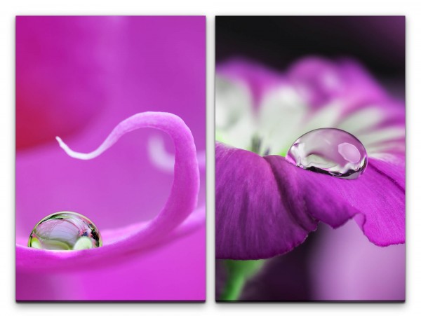 Paul Sinus Art 2 Bilder je 60x90cm Orchidee Tropfen Violett rosa Blüte Blumen Sommer Makrofotografie