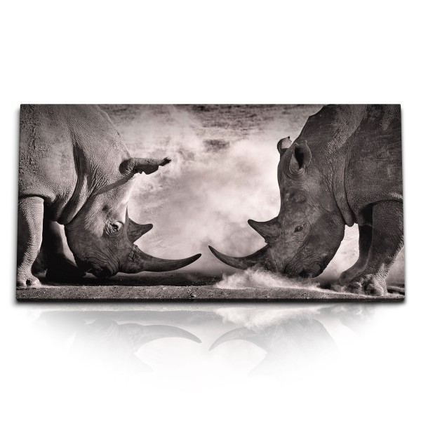 Paul Sinus Art Kunstdruck Bilder 120x60cm Nashorn Bullenkampf Schwarz Weiß Afrika Tierfotografie